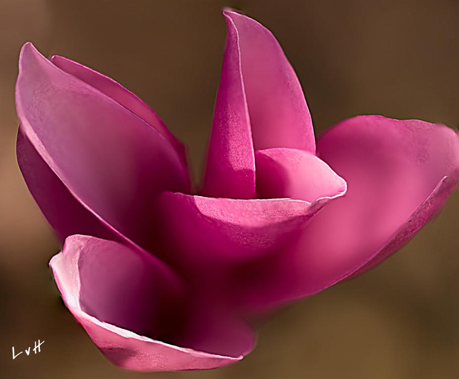 Botanische tuin Doorn 4