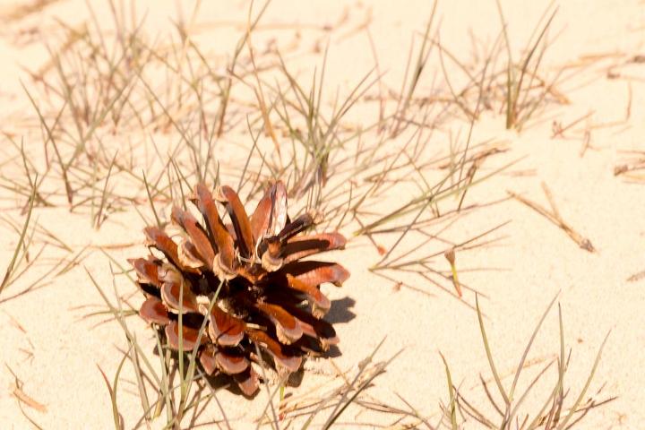 2019 Kootwijkerzand-66