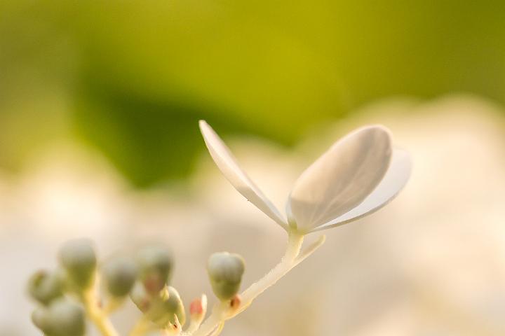 2019 tuin 4