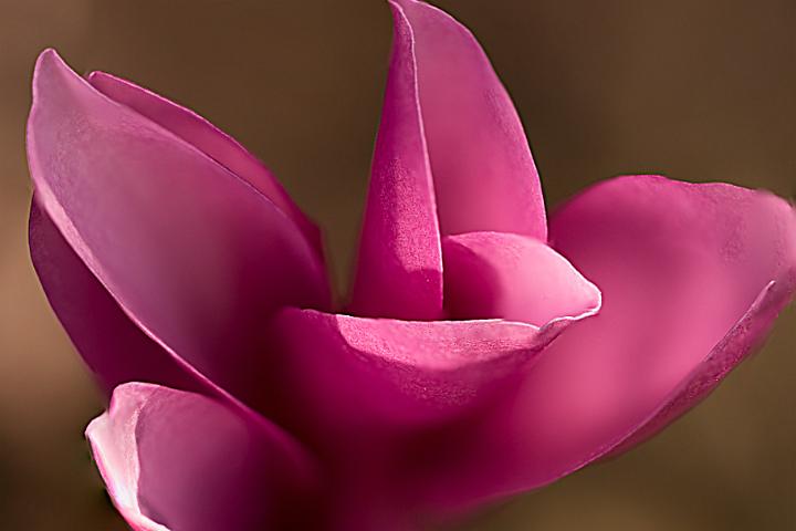 Botanische tuin Doorn 4