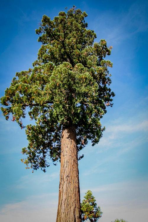 2010 Frankrijk Limeuil 06