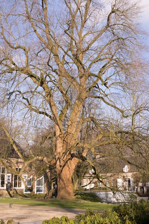 Fundatie Zwolle 2016