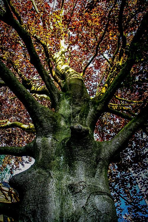 Leer Duitsland 2010 024