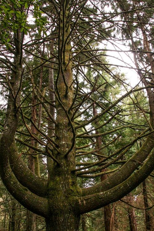 Madeira mei 2011 049