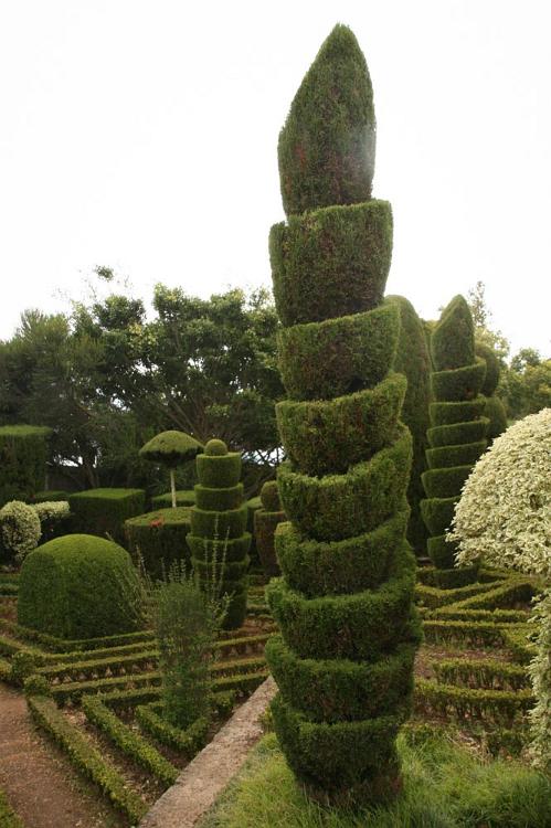 Madeira mei 2011 109