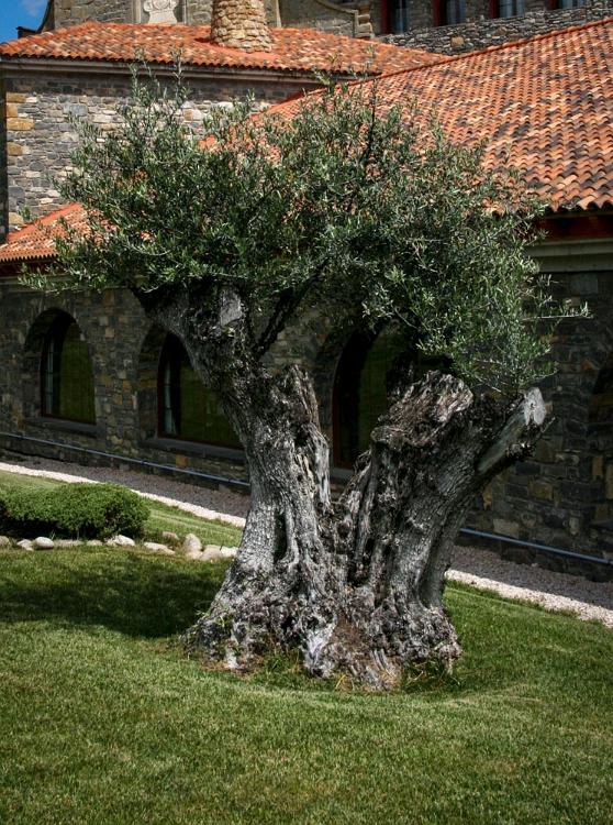 Noord Spanje 2011 Ainsa 033