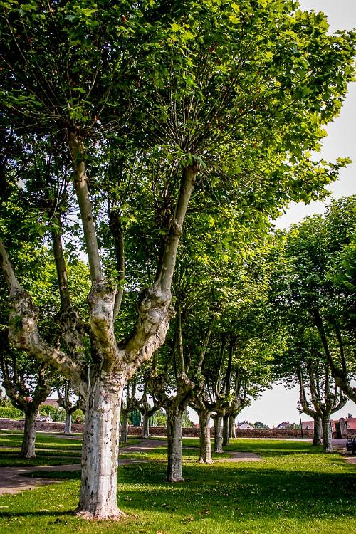 Prise bij Macon 2013