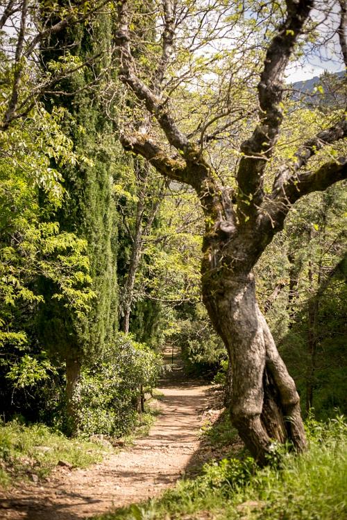 Sierra Francia 2016-6