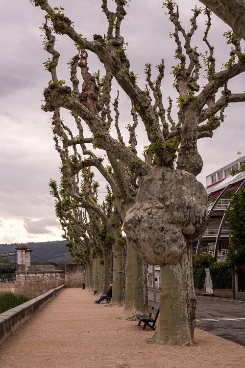 Tournon-sur-Rhone-2