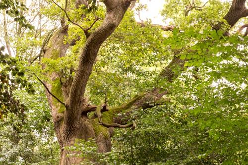 2019 Waren Muritz-18