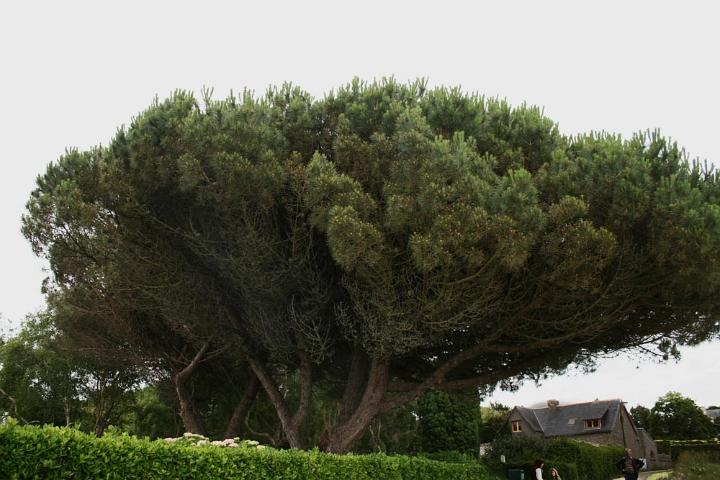 Bretagne Ile de Brehat 2012 38