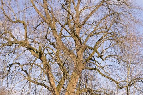 Fundatie Zwolle 2016