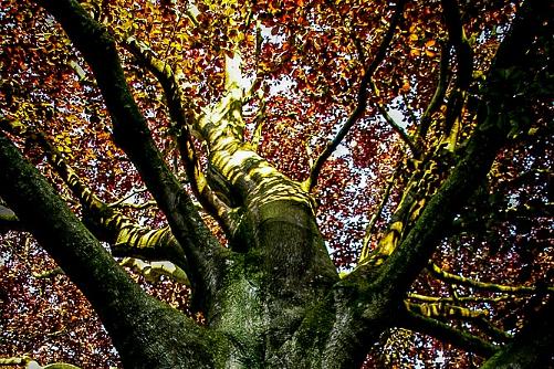 Leer Duitsland 2010 024