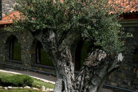 Noord Spanje 2011 Ainsa 033