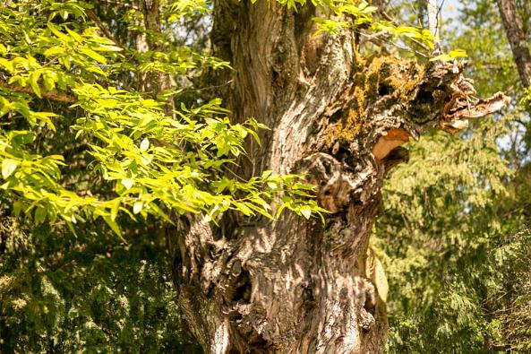 Sierra Francia 2016-3