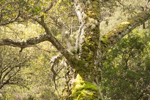 Sierra Francia 2016-4