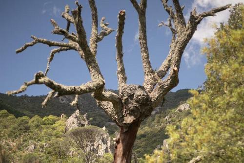 Sierra Francia 2016-7