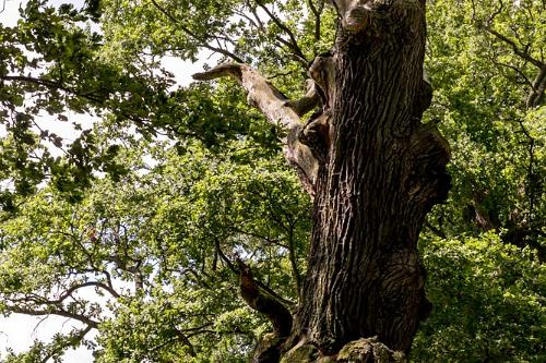 Trebon fietstocht 2016-14