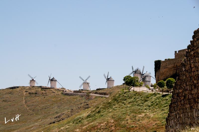 Cabaneros Spanje 2010  158