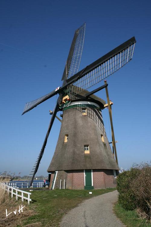 Molen 5