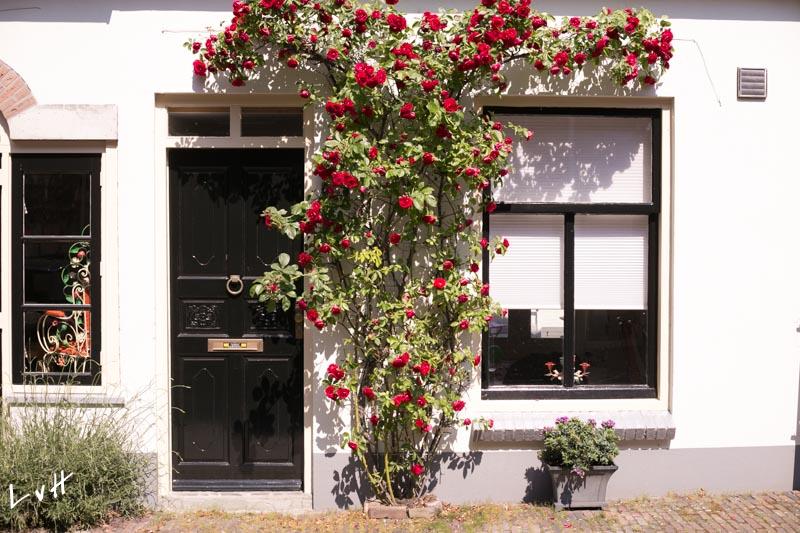 Wijk bij Duurstede 2016-4.jpg