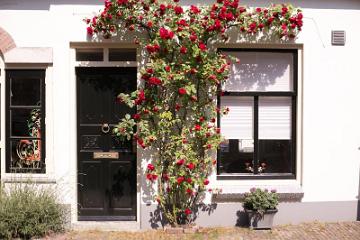 Wijk bij Duurstede 2016-4