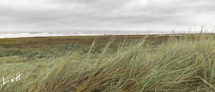 2019 Schiermonnikoog-22