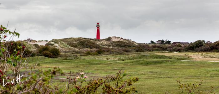 2019 Schiermonnikoog-31