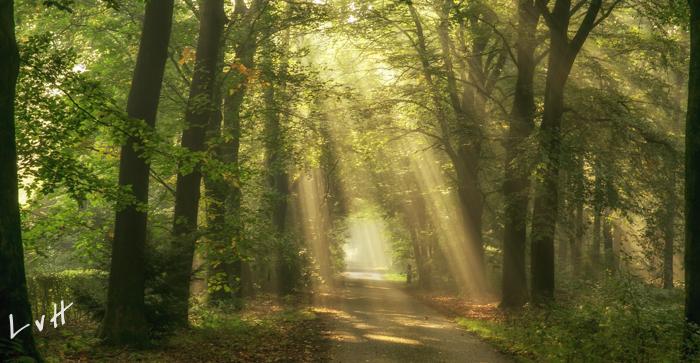 De Hoogt Maarn 2015 18