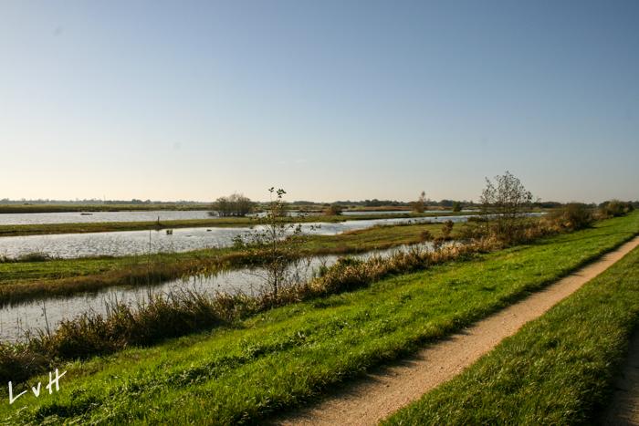 De Weerribben 2001 0161