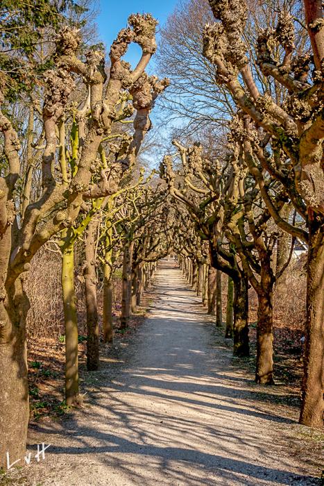 De betuwe raw bewerkt (14 van 23)