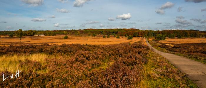Hoge Veluwe 2015 35