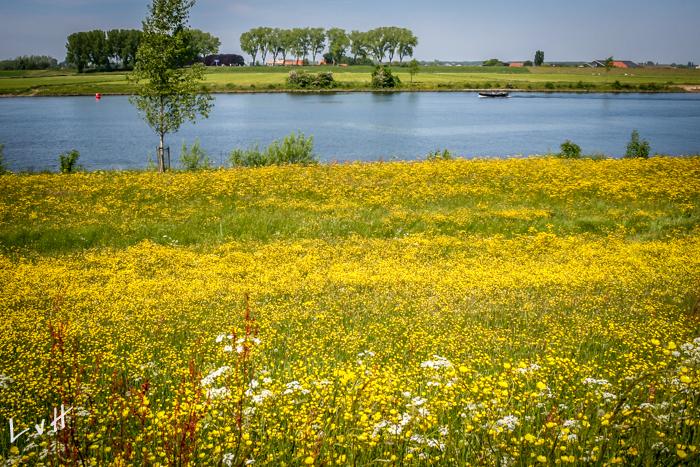 Langs de Maas 2015 767