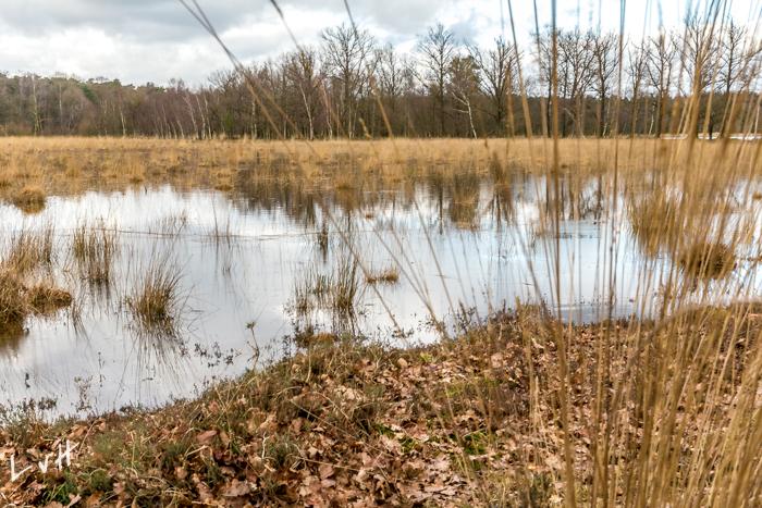 Leersums veld 2016 06