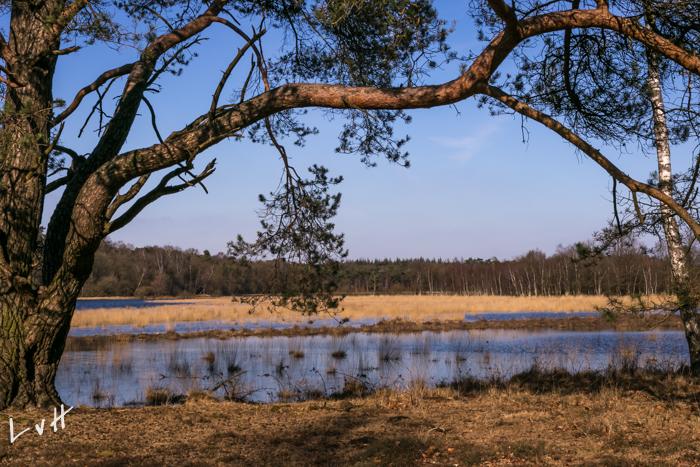 Leersumse plassen 2016 38