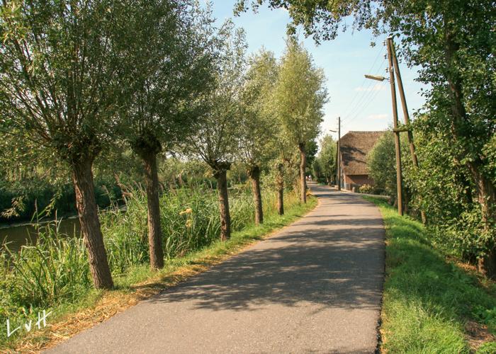 Schoonhoven 2009 023