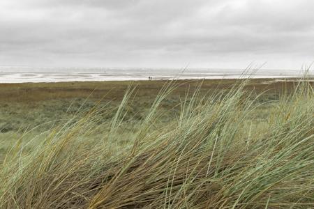 2019 Schiermonnikoog-22