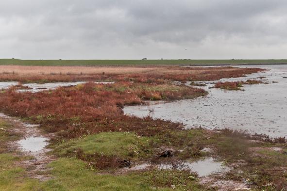 2019 Schiermonnikoog-39