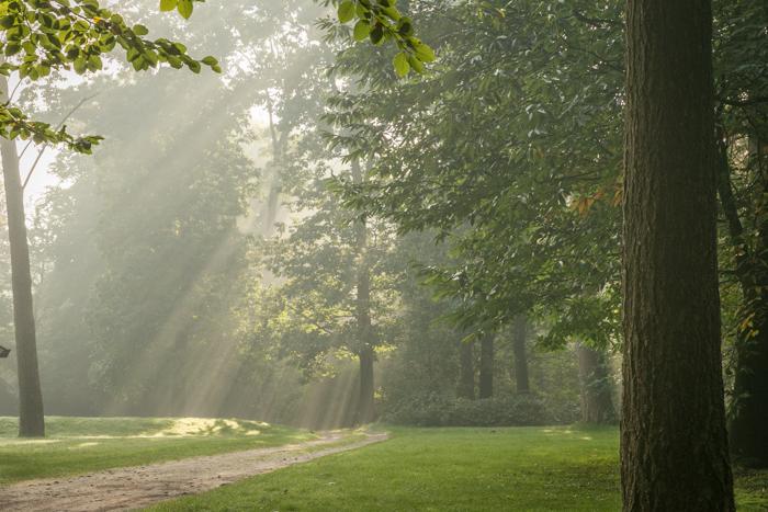 De Hoogt Maarn 2015 17