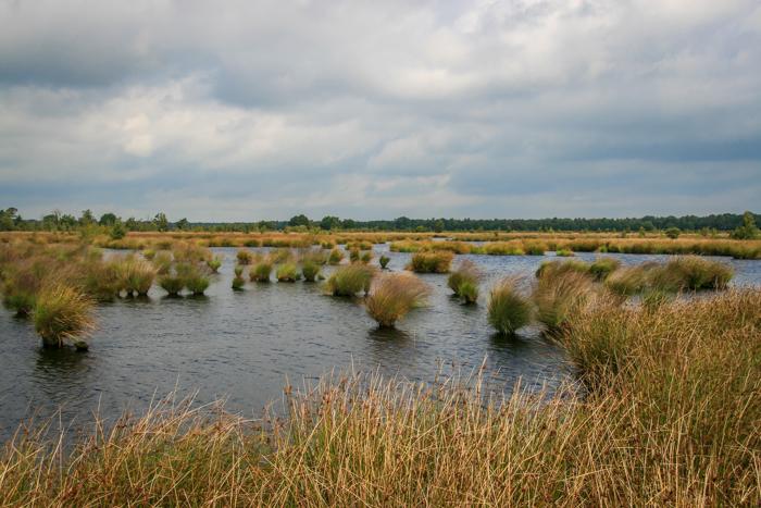 De Weerribben 2001 029