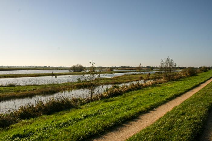 De Weerribben 2001 0161