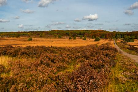 Hoge Veluwe 2015 35