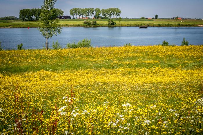 Langs de Maas 2015 767