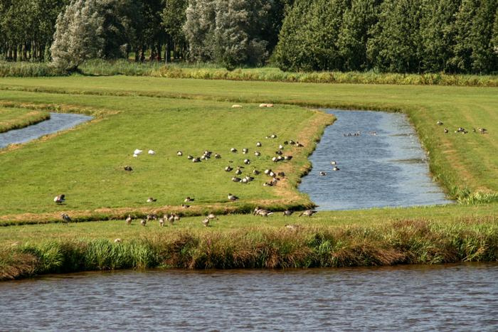 Schoonhoven 2009 019