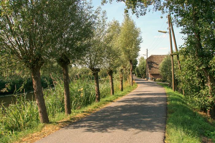 Schoonhoven 2009 023