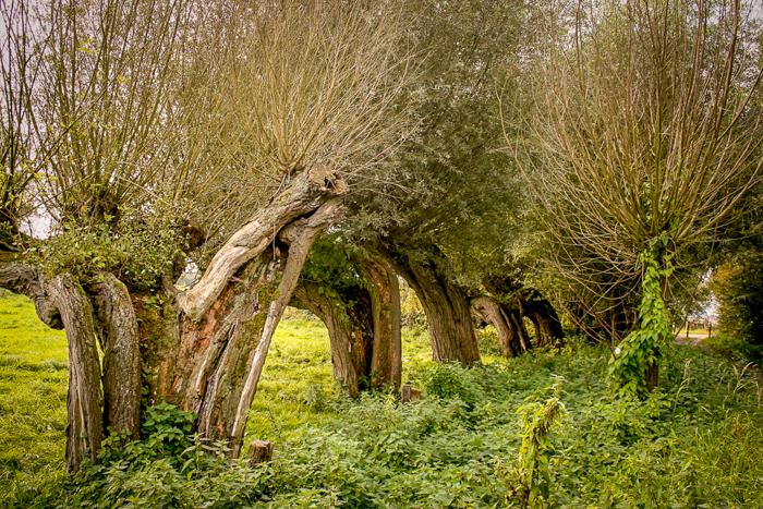 Hattem IJsel 20140003