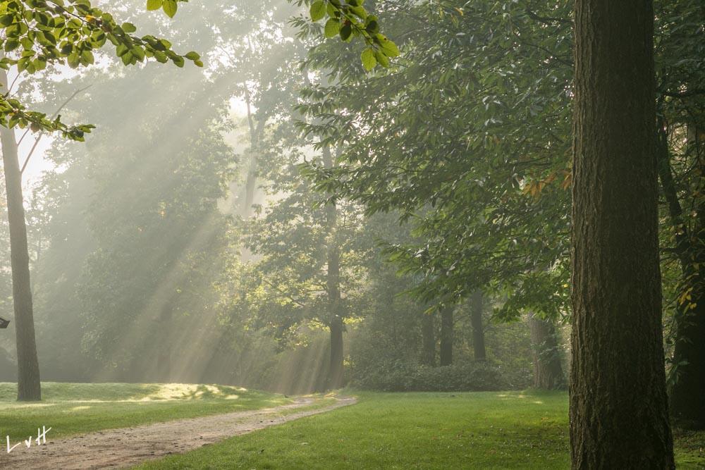 De Hoogt Maarn 2015 17