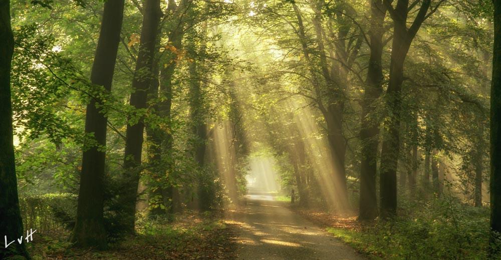 De Hoogt Maarn 2015 18