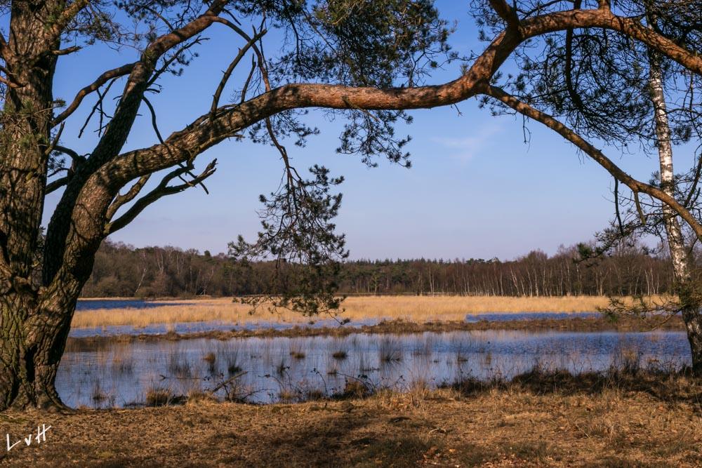 Leersumse veld 2016 38