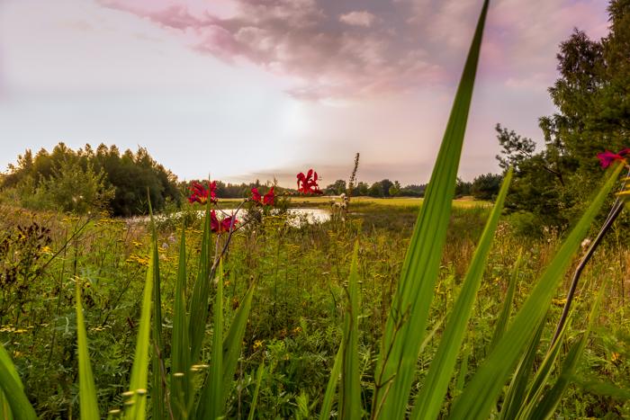 Anderstein 2015 045-bewerkt